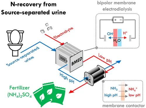 Collaborative Study On Bipolar Membrane Electrodialysis For Ammonia Recovery From Urine Is Published In ES&T!.png