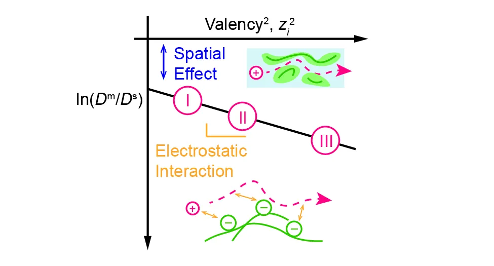 Our Study Titled “Counterion Mobility In Ion Exchange Membranes Spatial Effect And Valency Dependent Electrostatic Interaction” Has Been Accepted For Publication In ACS ES&T Engineering!.jpg