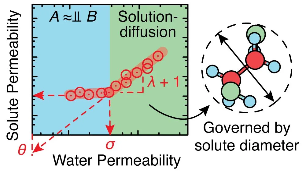 Study On The Permeability Selectivity Tradeoff In Reverse Osmosis Membranes 1.jpg