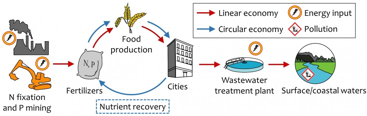 Nutrient Recovery Schematic 2